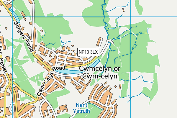 NP13 3LX map - OS VectorMap District (Ordnance Survey)