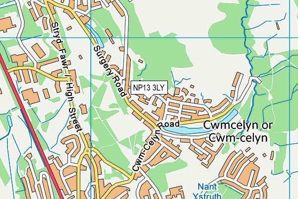 NP13 3LY map - OS VectorMap District (Ordnance Survey)