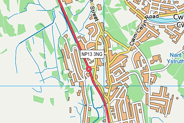 NP13 3NG map - OS VectorMap District (Ordnance Survey)