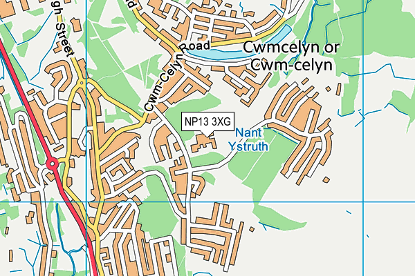 Ystruth Primary map (NP13 3XG) - OS VectorMap District (Ordnance Survey)