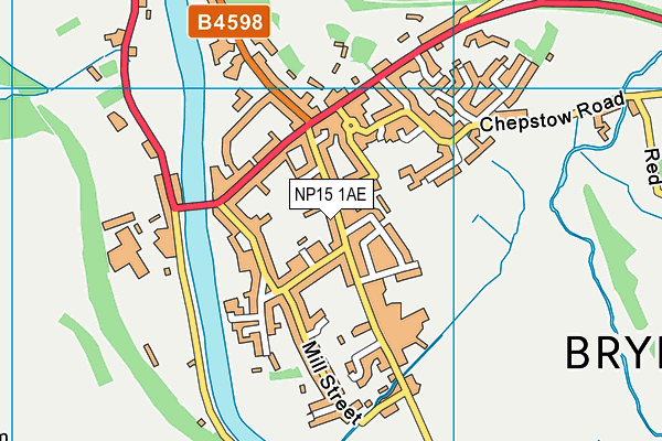 NP15 1AE map - OS VectorMap District (Ordnance Survey)