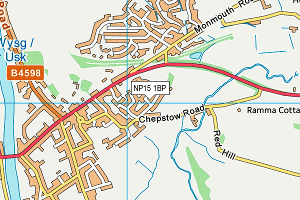 NP15 1BP map - OS VectorMap District (Ordnance Survey)