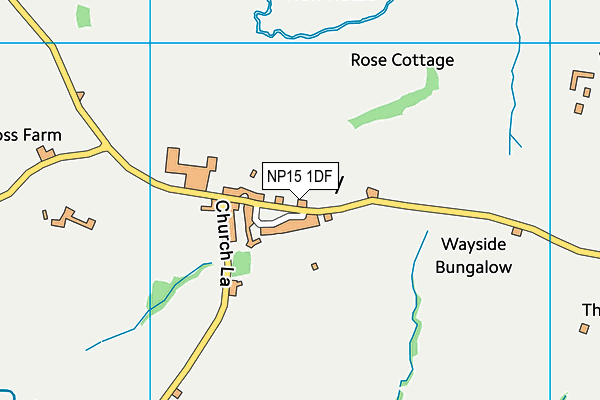 NP15 1DF map - OS VectorMap District (Ordnance Survey)