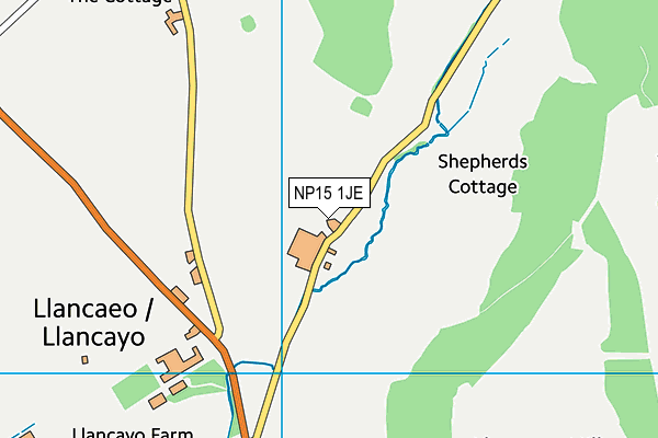 NP15 1JE map - OS VectorMap District (Ordnance Survey)