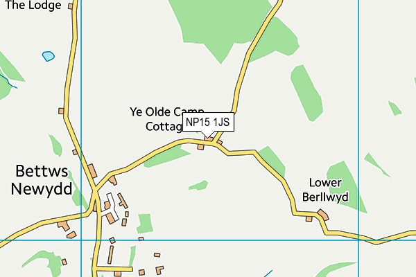 NP15 1JS map - OS VectorMap District (Ordnance Survey)