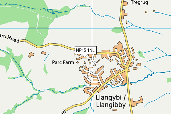NP15 1NL map - OS VectorMap District (Ordnance Survey)