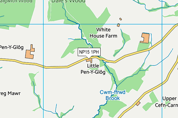NP15 1PH map - OS VectorMap District (Ordnance Survey)