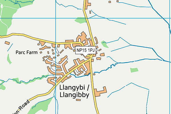 NP15 1PJ map - OS VectorMap District (Ordnance Survey)