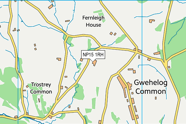NP15 1RH map - OS VectorMap District (Ordnance Survey)