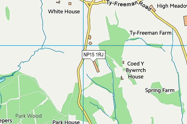 NP15 1RJ map - OS VectorMap District (Ordnance Survey)