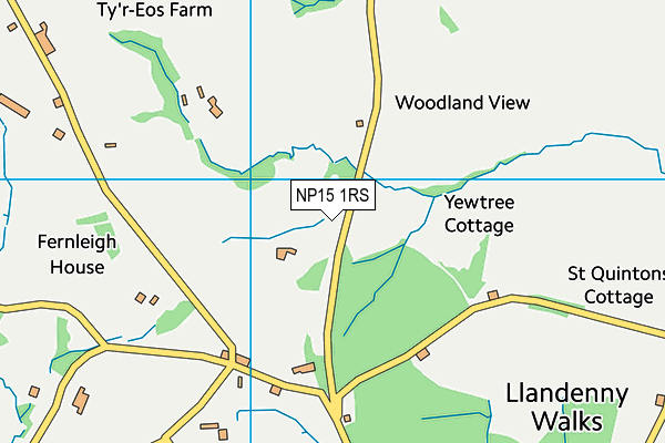NP15 1RS map - OS VectorMap District (Ordnance Survey)