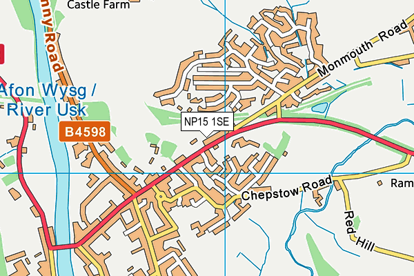 NP15 1SE map - OS VectorMap District (Ordnance Survey)