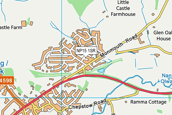 NP15 1SR map - OS VectorMap District (Ordnance Survey)
