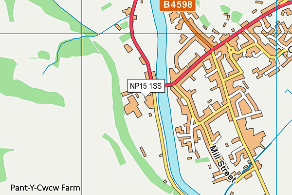 NP15 1SS map - OS VectorMap District (Ordnance Survey)