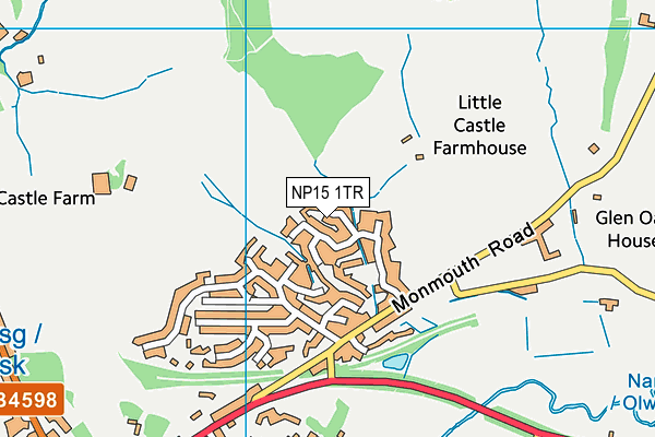 NP15 1TR map - OS VectorMap District (Ordnance Survey)