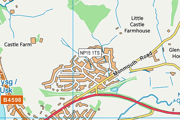 NP15 1TS map - OS VectorMap District (Ordnance Survey)