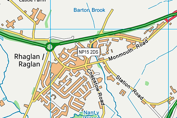 NP15 2DS map - OS VectorMap District (Ordnance Survey)