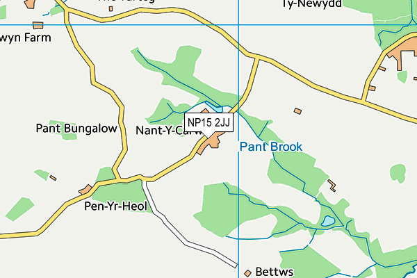NP15 2JJ map - OS VectorMap District (Ordnance Survey)