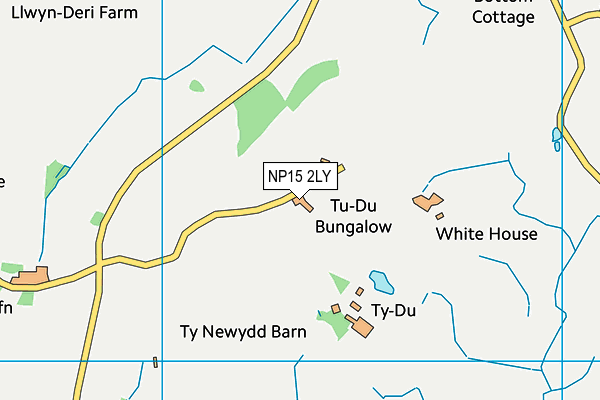 NP15 2LY map - OS VectorMap District (Ordnance Survey)