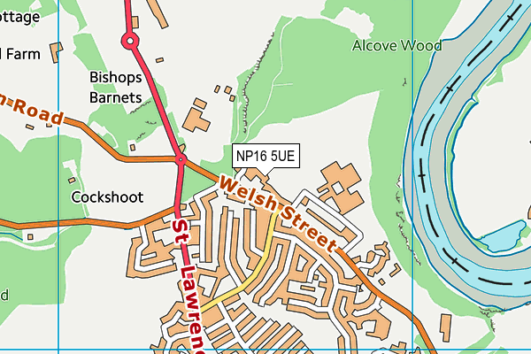 NP16 5UE map - OS VectorMap District (Ordnance Survey)