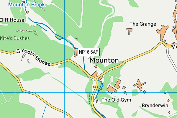 NP16 6AF map - OS VectorMap District (Ordnance Survey)