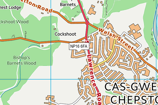 NP16 6FA map - OS VectorMap District (Ordnance Survey)