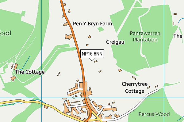 NP16 6NN map - OS VectorMap District (Ordnance Survey)