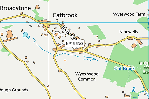 NP16 6NQ map - OS VectorMap District (Ordnance Survey)