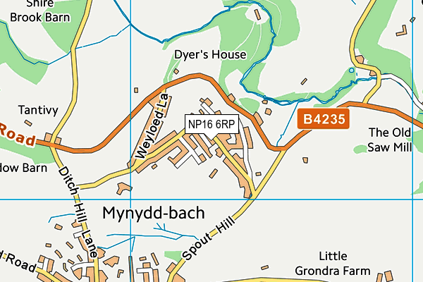 NP16 6RP map - OS VectorMap District (Ordnance Survey)