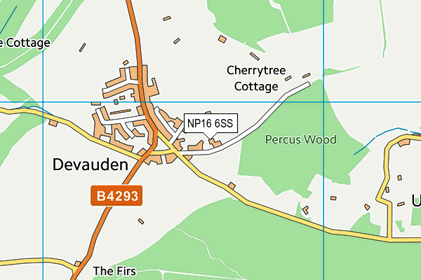 NP16 6SS map - OS VectorMap District (Ordnance Survey)