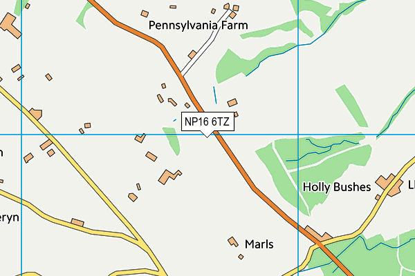 NP16 6TZ map - OS VectorMap District (Ordnance Survey)