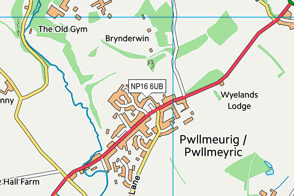 NP16 6UB map - OS VectorMap District (Ordnance Survey)