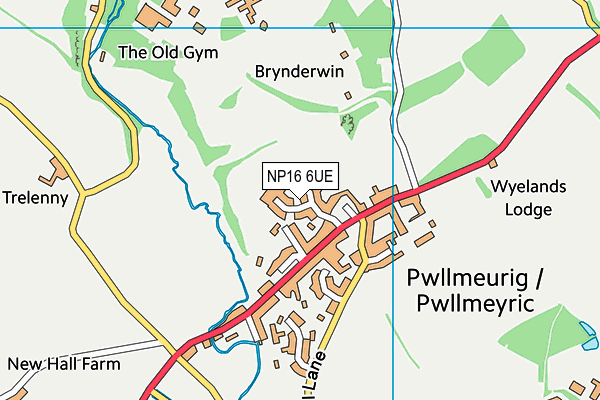 NP16 6UE map - OS VectorMap District (Ordnance Survey)