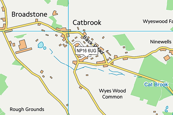 NP16 6UG map - OS VectorMap District (Ordnance Survey)