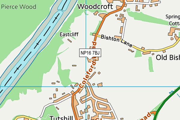 Tutshill Church of England Primary School map (NP16 7BJ) - OS VectorMap District (Ordnance Survey)