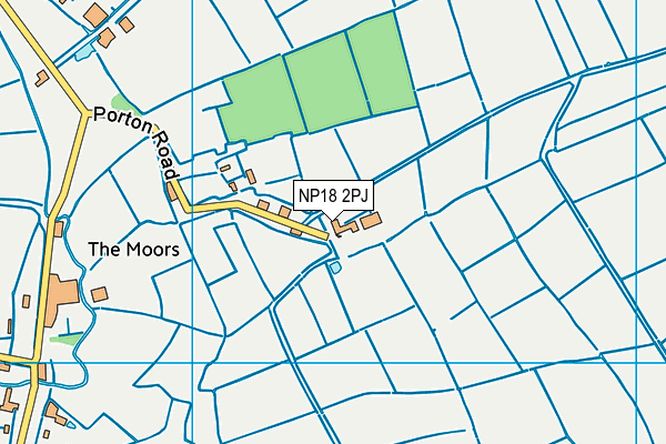 NP18 2PJ map - OS VectorMap District (Ordnance Survey)