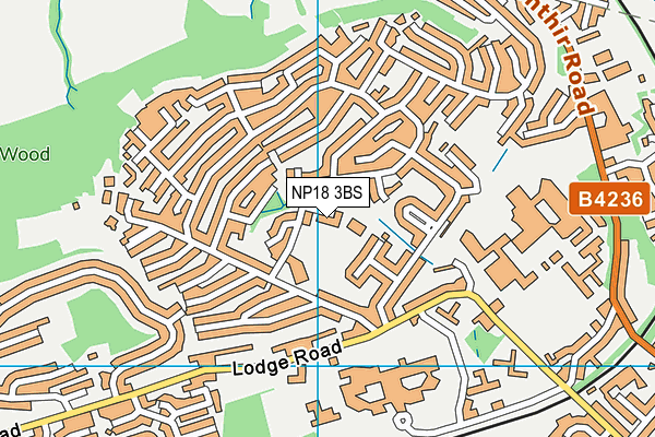 NP18 3BS map - OS VectorMap District (Ordnance Survey)
