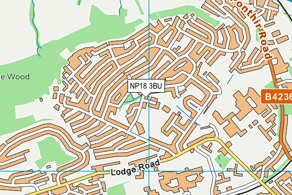 NP18 3BU map - OS VectorMap District (Ordnance Survey)