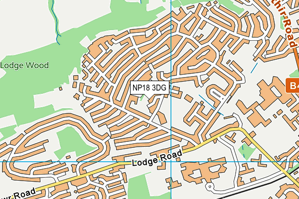NP18 3DG map - OS VectorMap District (Ordnance Survey)