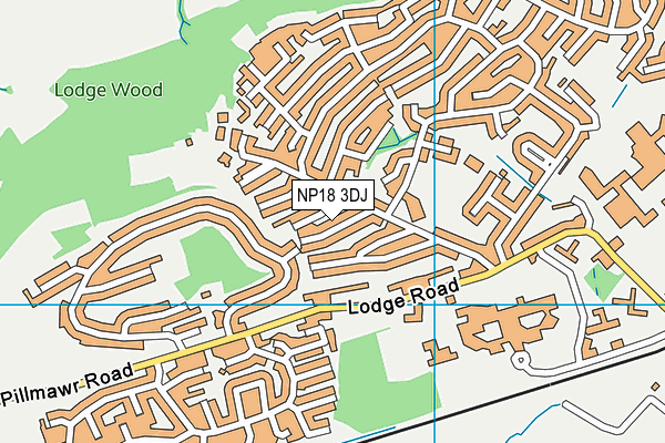 NP18 3DJ map - OS VectorMap District (Ordnance Survey)