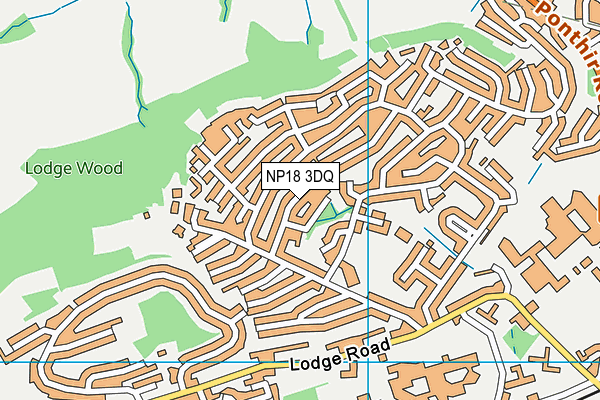 NP18 3DQ map - OS VectorMap District (Ordnance Survey)