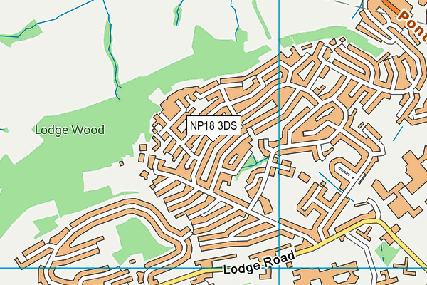 NP18 3DS map - OS VectorMap District (Ordnance Survey)