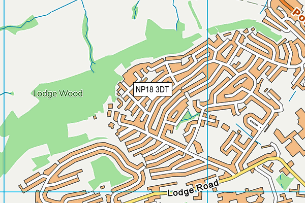 NP18 3DT map - OS VectorMap District (Ordnance Survey)