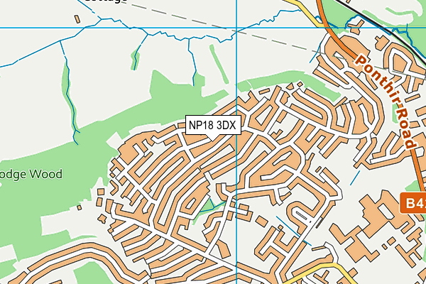 NP18 3DX map - OS VectorMap District (Ordnance Survey)