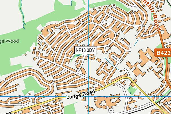 Ysgol Gymraeg Nant Gwenlli map (NP18 3DY) - OS VectorMap District (Ordnance Survey)