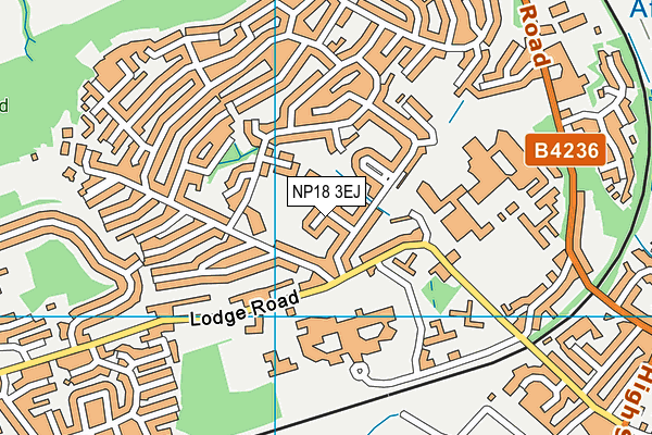 NP18 3EJ map - OS VectorMap District (Ordnance Survey)