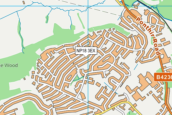 NP18 3EX map - OS VectorMap District (Ordnance Survey)