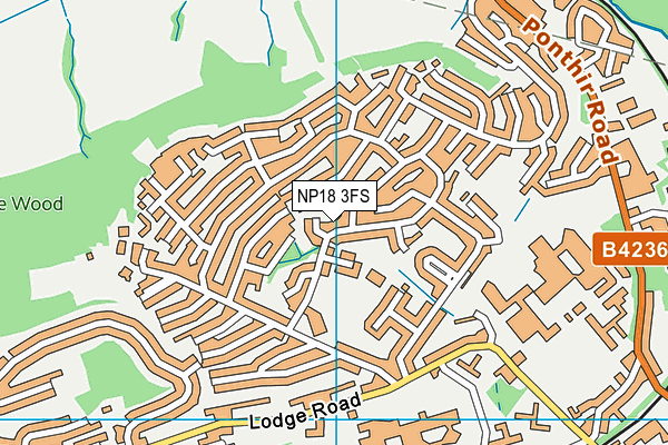 NP18 3FS map - OS VectorMap District (Ordnance Survey)