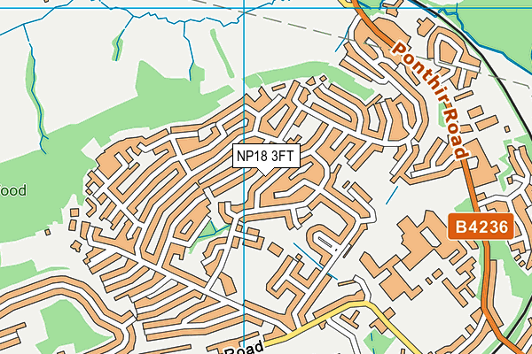 NP18 3FT map - OS VectorMap District (Ordnance Survey)
