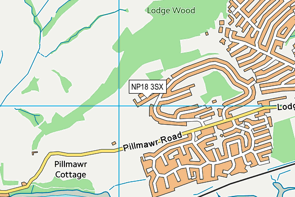NP18 3SX map - OS VectorMap District (Ordnance Survey)